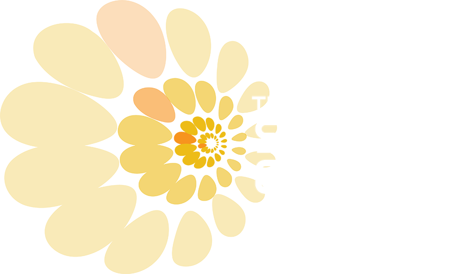The Solar Experts Logo 